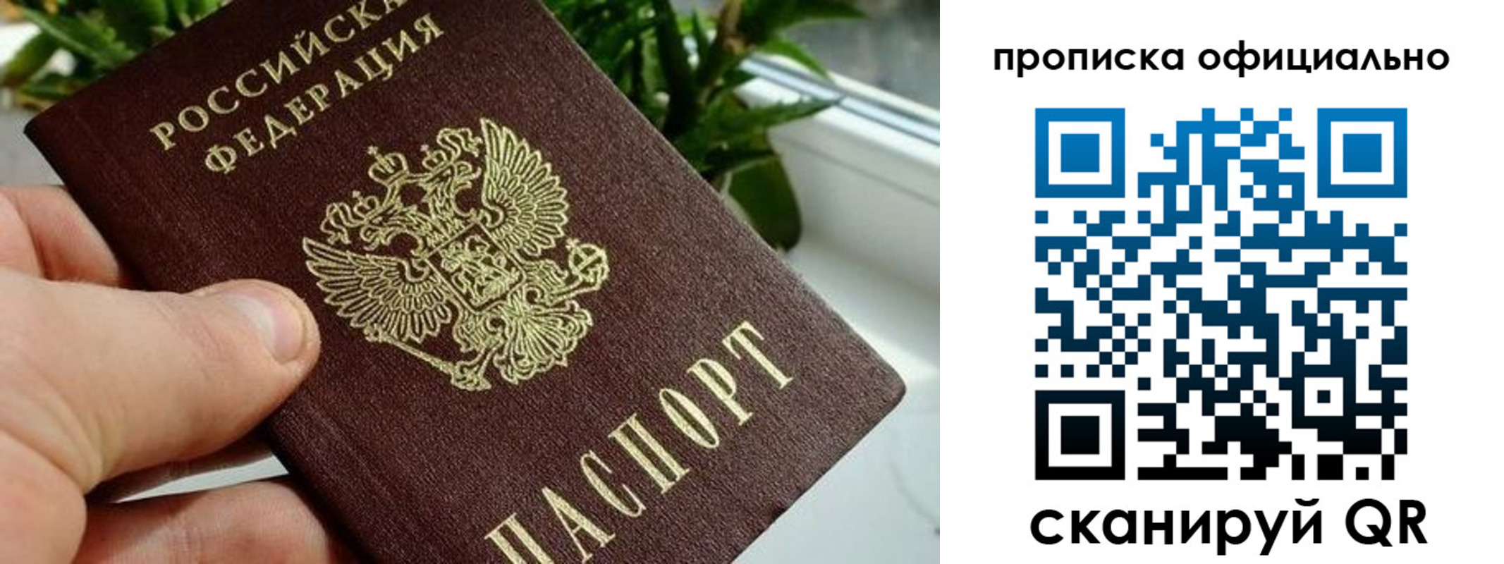прописка поиск в Соль-Илецке